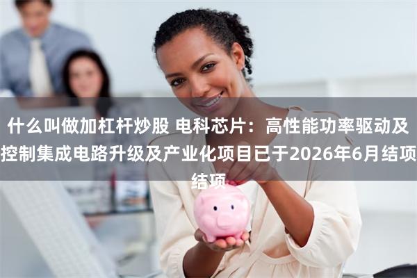 什么叫做加杠杆炒股 电科芯片：高性能功率驱动及控制集成电路升级及产业化项目已于2026年6月结项