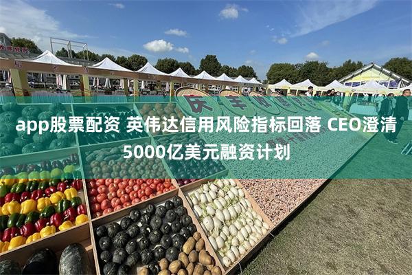 app股票配资 英伟达信用风险指标回落 CEO澄清5000亿美元融资计划