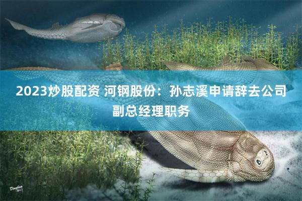 2023炒股配资 河钢股份：孙志溪申请辞去公司副总经理职务
