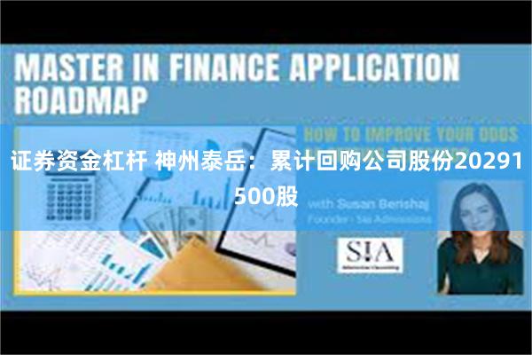 证券资金杠杆 神州泰岳：累计回购公司股份20291500股
