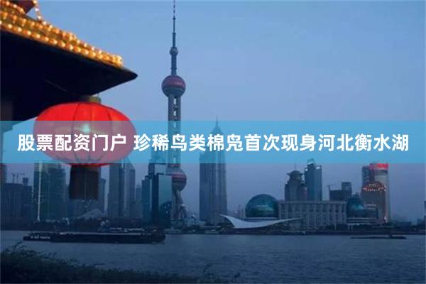 股票配资门户 珍稀鸟类棉凫首次现身河北衡水湖