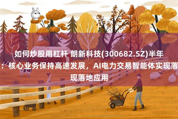 如何炒股用杠杆 朗新科技(300682.SZ)半年报发布：核心业务保持高速发展，AI电力交易智能体实现落地应用