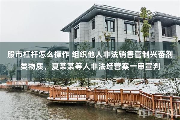 股市杠杆怎么操作 组织他人非法销售管制兴奋剂类物质，夏某某等人非法经营案一审宣判