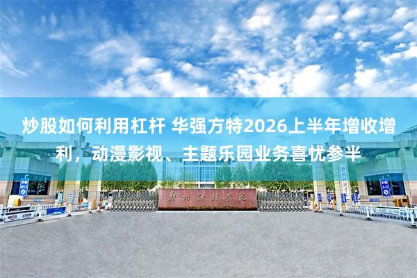 炒股如何利用杠杆 华强方特2026上半年增收增利，动漫影视、主题乐园业务喜忧参半