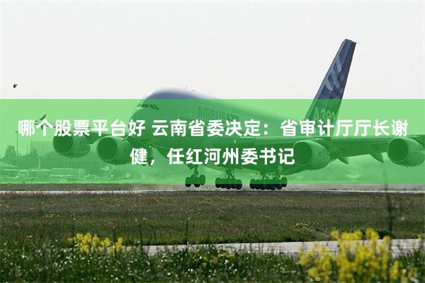哪个股票平台好 云南省委决定：省审计厅厅长谢健，任红河州委书记