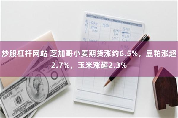 炒股杠杆网站 芝加哥小麦期货涨约6.5%，豆粕涨超2.7%，玉米涨超2.3%