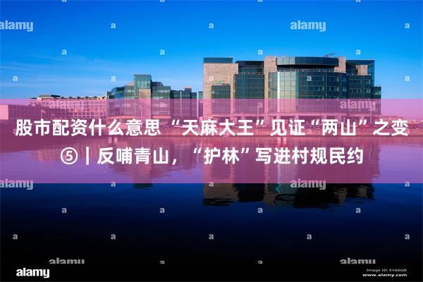 股市配资什么意思 “天麻大王”见证“两山”之变⑤｜反哺青山，“护林”写进村规民约