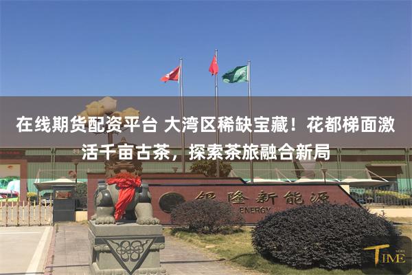 在线期货配资平台 大湾区稀缺宝藏！花都梯面激活千亩古茶，探索茶旅融合新局