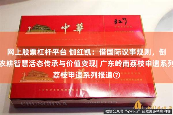 网上股票杠杆平台 伽红凯：借国际议事规则，倒逼千年农耕智慧活态传承与价值变现| 广东岭南荔枝申遗系列报道⑦