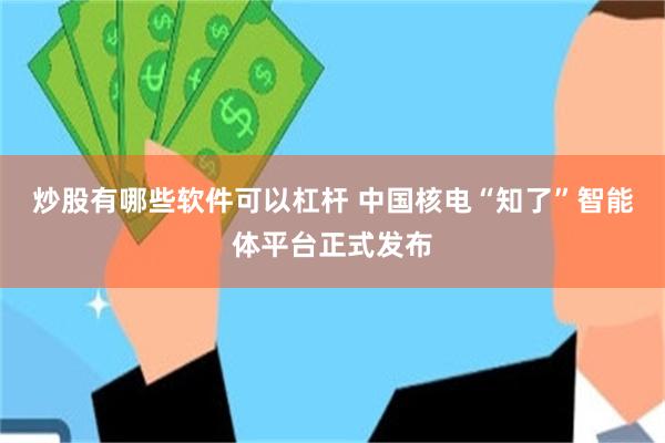 炒股有哪些软件可以杠杆 中国核电“知了”智能体平台正式发布