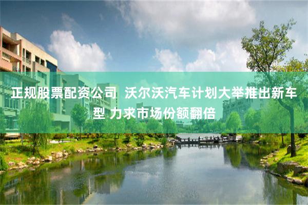 正规股票配资公司  沃尔沃汽车计划大举推出新车型 力求市场份额翻倍