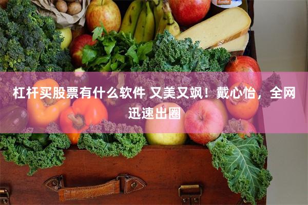 杠杆买股票有什么软件 又美又飒！戴心怡，全网迅速出圈