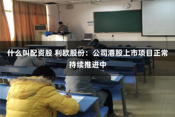 什么叫配资股 利欧股份：公司港股上市项目正常持续推进中
