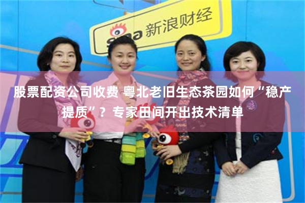 股票配资公司收费 粤北老旧生态茶园如何“稳产提质”？专家田间开出技术清单