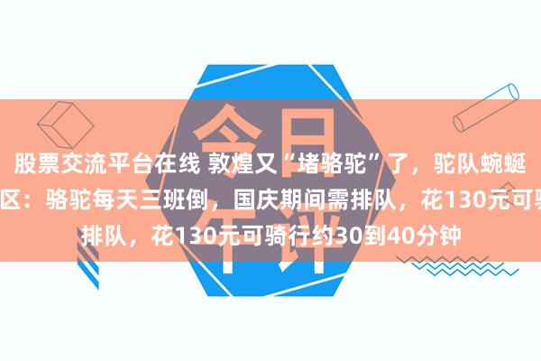 股票交流平台在线 敦煌又“堵骆驼”了,驼队蜿蜒一眼望不到头;景区:骆驼每天三班倒,国庆期间需排队,花130元可骑行约30到40分钟