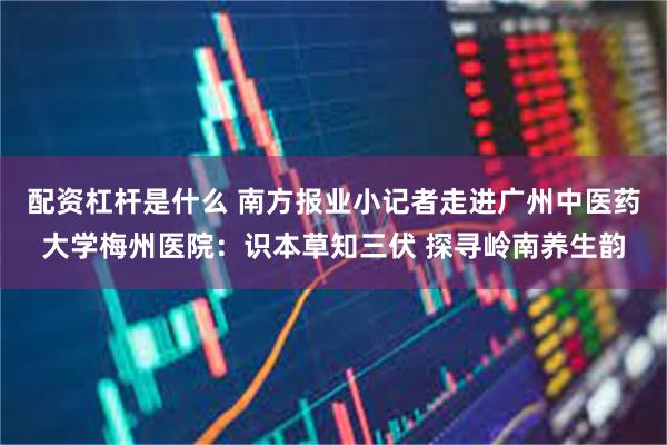 配资杠杆是什么 南方报业小记者走进广州中医药大学梅州医院：识本草知三伏 探寻岭南养生韵