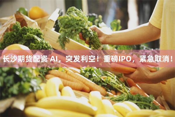 长沙期货配资 AI，突发利空！重磅IPO，紧急取消！